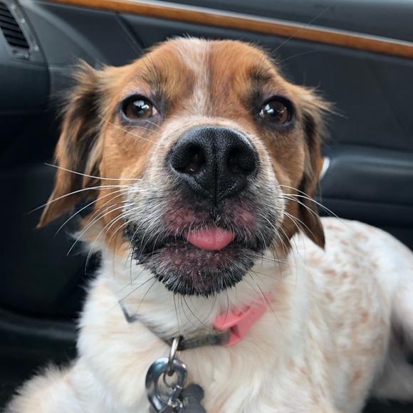 This is Me: Emily - Picture 3 of 4